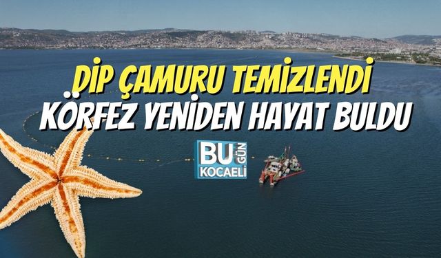Dip Çamuru Temizlendi, Körfez Yeniden Hayat Buldu