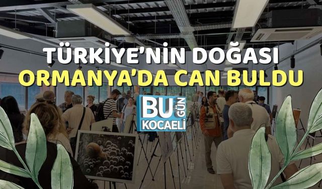 Türkiye’nin Doğası Ormanya’da Can Buldu