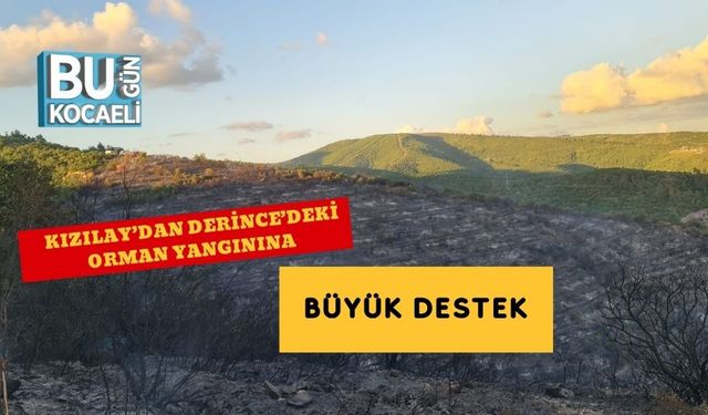 Kızılay’dan Derince’deki Orman Yangınına Büyük Destek