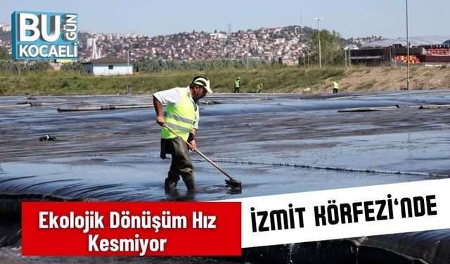 İzmit Körfezi’nde Ekolojik Dönüşüm Hız Kesmiyor