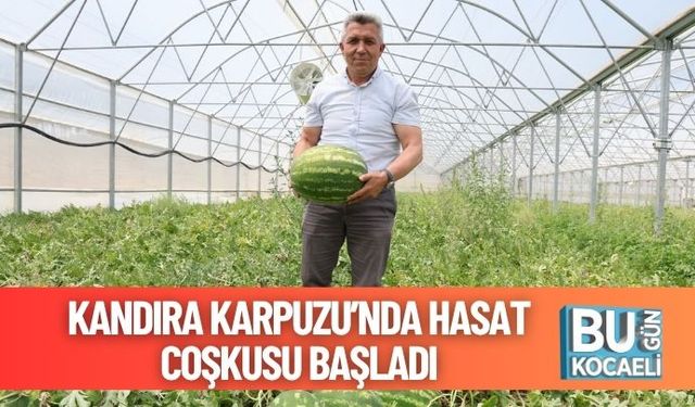 Kandıra Karpuzu’nda Hasat Coşkusu Başladı