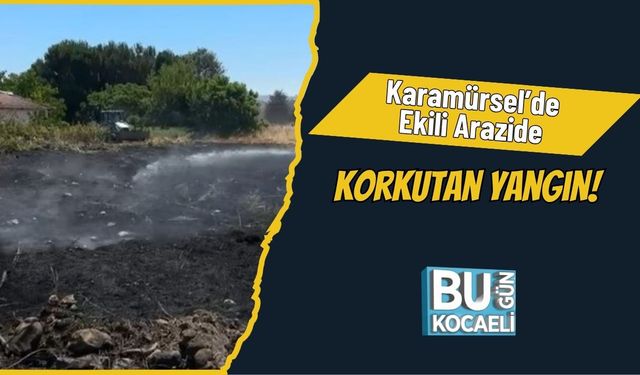 Karamürsel’de Ekili Arazide Korkutan Yangın!