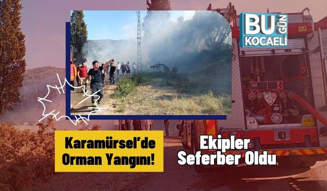 Karamürsel’de Orman Yangını! Ekipler Seferber Oldu