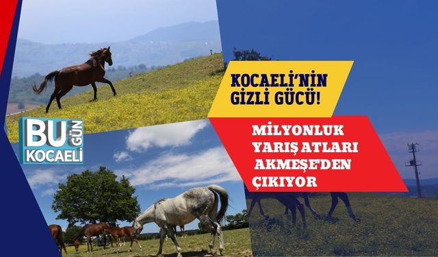 Kocaeli’nin Gizli Gücü! Milyonluk Yarış Atları Akmeşe'den Çıkıyor