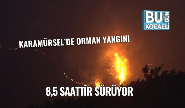 Karamürsel’de Orman Yangını 8,5 Saattir Sürüyor