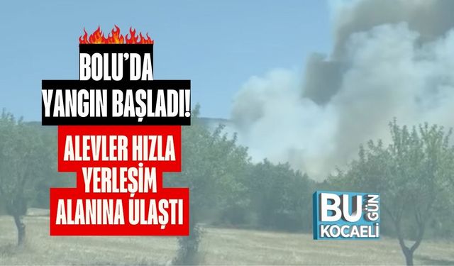 Bolu’da Yangın Başladı! Alevler Hızla Yerleşim Alanına Ulaştı