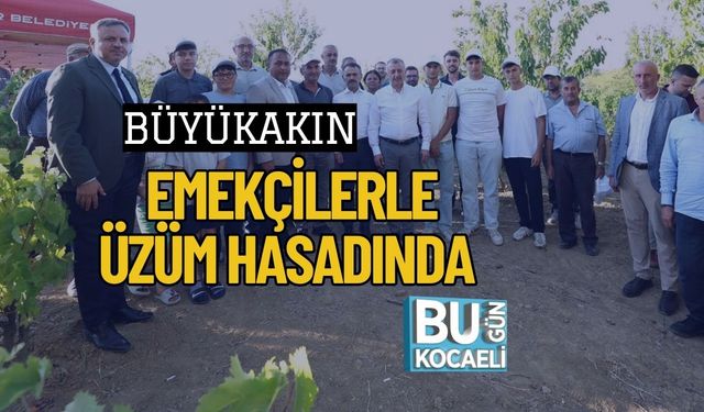 Büyükakın Emekçilerle Üzüm Hasadında