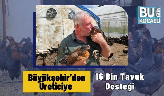 Büyükşehir’den Üreticiye 16 Bin Tavuk Desteği