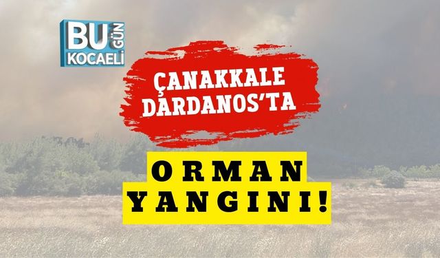 Çanakkale Dardanos’ta Orman Yangını!