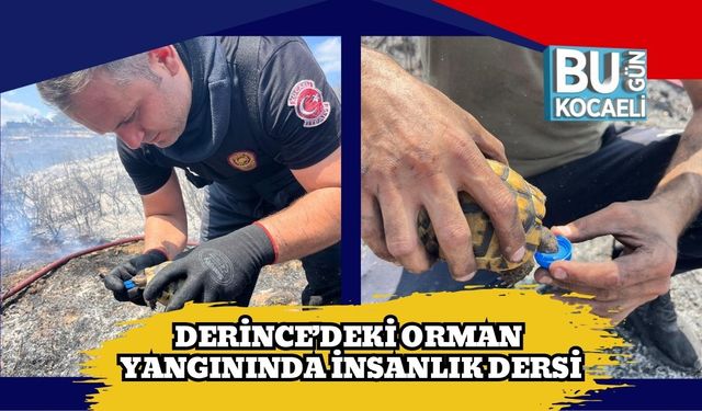 Derince’deki Orman Yangınında İnsanlık Dersi