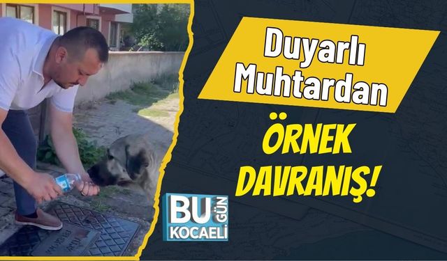 Duyarlı Muhtardan Örnek Davranış!