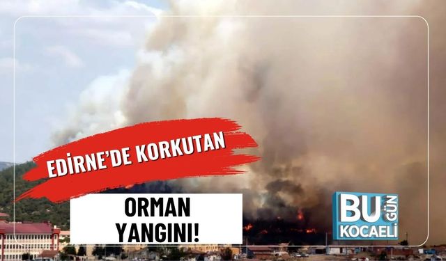 Edirne’de Korkutan Orman Yangını!