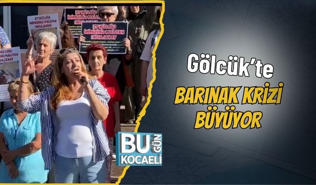Gölcük’te Barınak Krizi Büyüyor