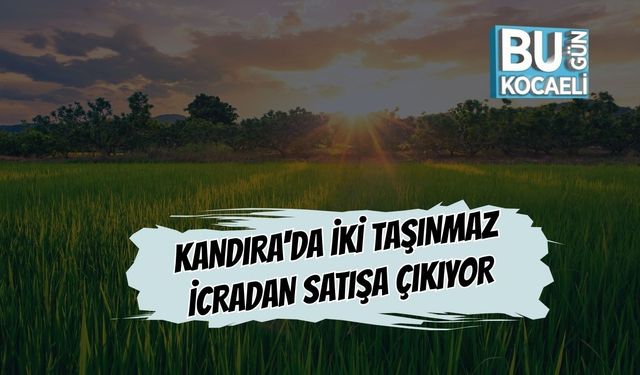 Kandıra'da İki Taşınmaz İcradan Satışa Çıkıyor