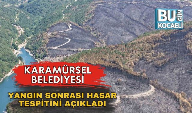 Karamürsel Belediyesi Yangın Sonrası Hasar Tespitini Açıkladı