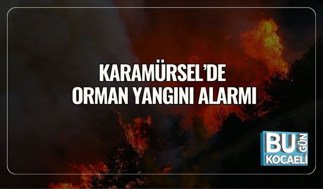 Karamürsel’de Orman Yangını Alarmı