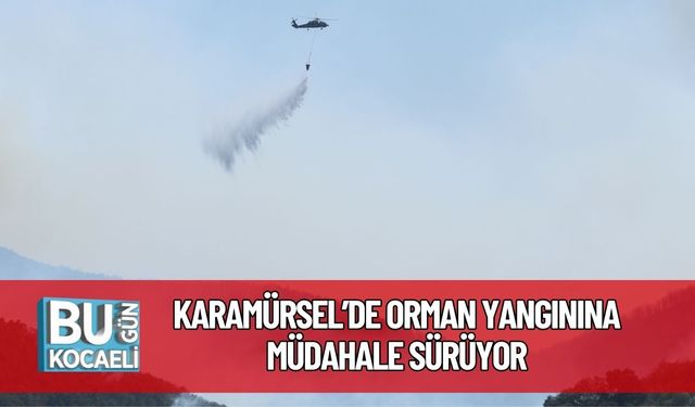 Karamürsel’de Orman Yangınına Müdahale Sürüyor