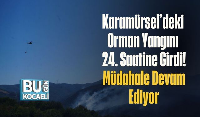 Karamürsel’deki Orman Yangını 24. Saatine Girdi! Müdahale Devam Ediyor