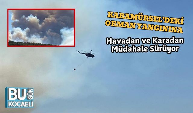 Karamürsel’deki Orman Yangınına Havadan ve Karadan Müdahale Sürüyor