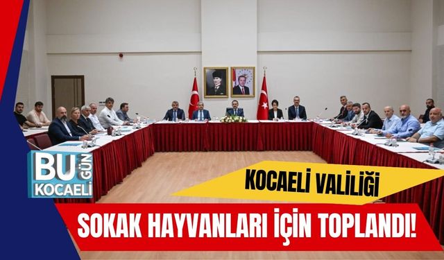 Kocaeli Valiliği Sokak Hayvanları İçin Toplandı!
