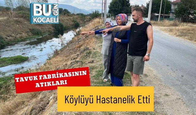 Tavuk Fabrikasının Atıkları Köylüyü Hastanelik Etti