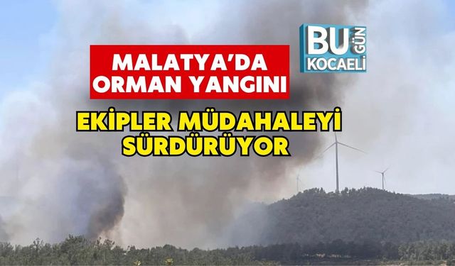 Malatya’da Orman Yangını : Ekipler Müdahaleyi Sürdürüyor