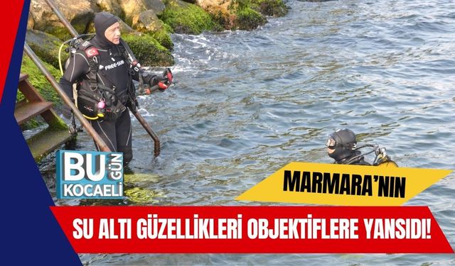 Marmara’nın Su Altı Güzellikleri Objektiflere Yansıdı!