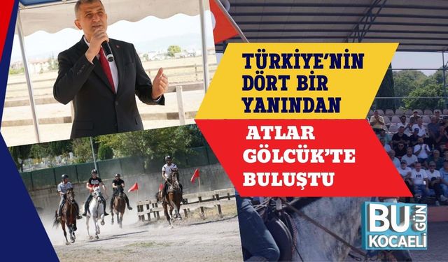 Türkiye’nin Dört Bir Yanından Atlar Gölcük’te Buluştu