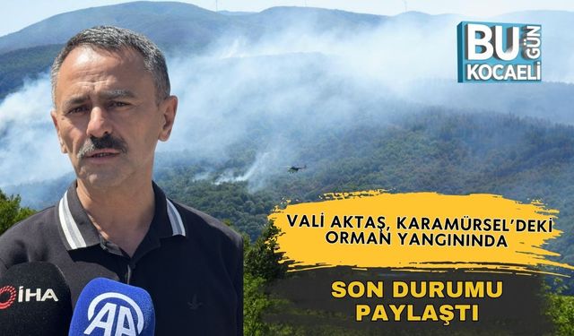 Vali Aktaş, Karamürsel’deki Orman Yangınında Son Durumu Paylaştı