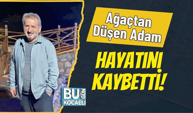 Ağaçtan Düşen Adam Hayatını Kaybetti!