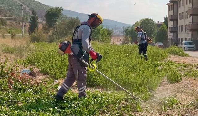 Körfez’in Yeşil Alanlarına Bakım