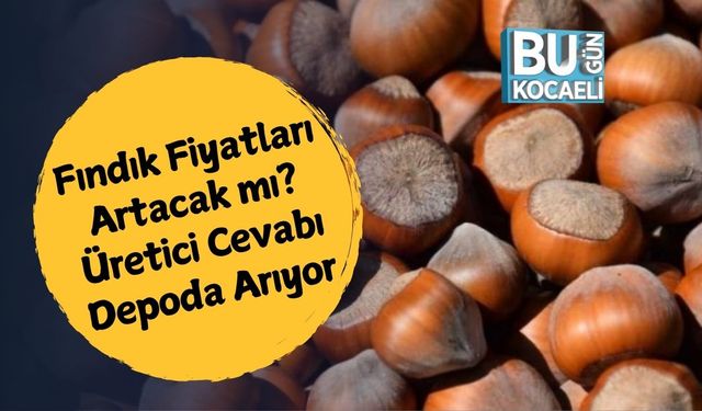 Fındık Fiyatları Yükselecek mi? Üretici Cevabı Depoda Arıyor