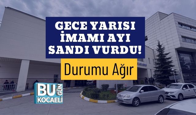 Gece Yarısı İmamı Ayı Sandı Vurdu! Durumu Ağır