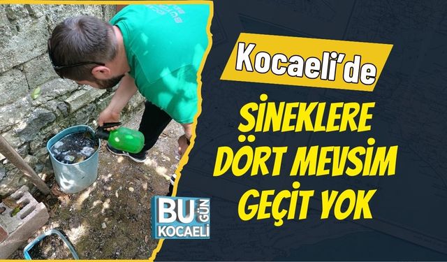 Kocaeli’de Sineklere Dört Mevsim Geçit Yok