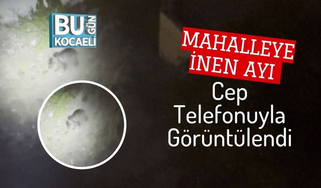 Mahalleye İnen Ayı Cep Telefonuyla Görüntülendi