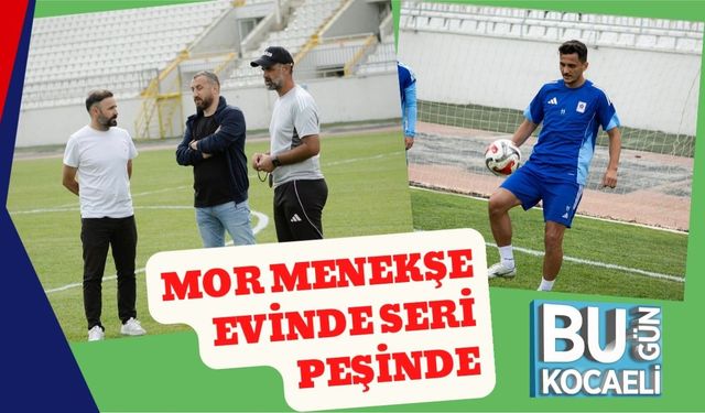 Mor Menekşe Evinde Seri Peşinde