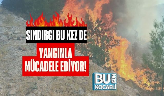 Sındırgı Bu Kez de Yangınla Mücadele Ediyor!