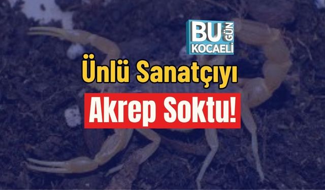 Ünlü Sanatçıyı Akrep Soktu!