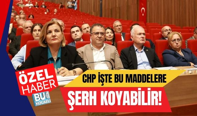 CHP İşte Bu Maddelere Şerh Koyabilir!