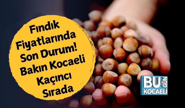 Fındık Fiyatlarında Son Durum! Bakın Kocaeli Kaçıncı Sırada…