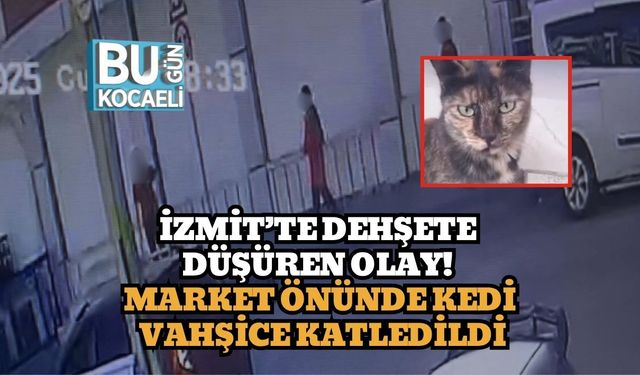 İzmit’te Dehşete Düşüren Olay! Market Önünde Kedi Vahşice Katledildi