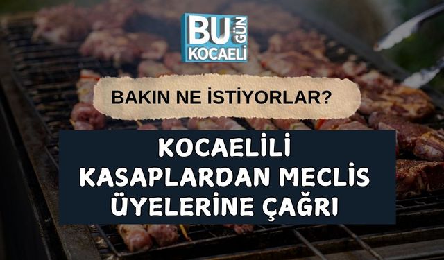 Kasaplardan Meclis Üyelerine Çağrı