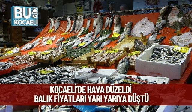 Kocaeli’de Hava Düzeldi, Balık Fiyatları Yarı Yarıya Düştü