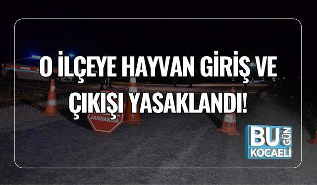 O İlçeye Hayvan Giriş ve Çıkışı Yasaklandı!