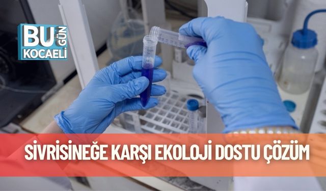 Sivrisineğe Karşı Ekoloji Dostu Çözüm