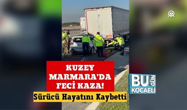 Kuzey Marmara'da Feci Kaza! Sürücü Hayatını Kaybetti