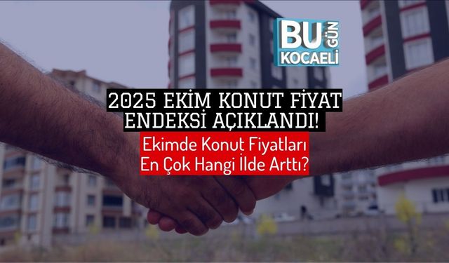 2025 Ekim Konut Fiyat Endeksi Açıklandı! Ekimde Konut Fiyatları En Çok Hangi İlde Arttı?