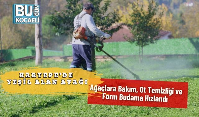 Kartepe’de Yeşil Alan Atağı: Ağaçlara Bakım, Ot Temizliği ve Form Budama Hızlandı
