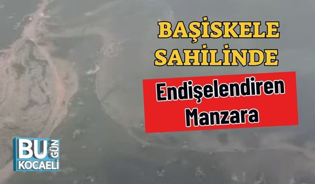 Başiskele Sahilinde Endişelendiren Manzara