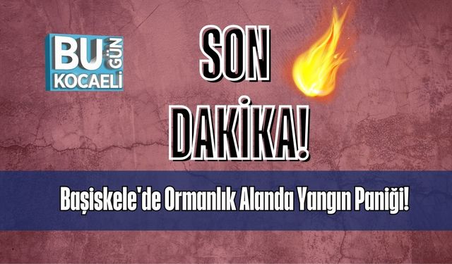 Başiskele'de Ormanlık Alanda Yangın Paniği!